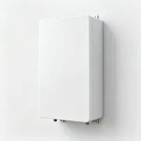 Gas Wall Heaters